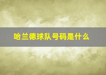 哈兰德球队号码是什么