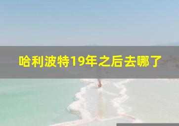 哈利波特19年之后去哪了