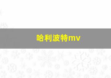 哈利波特mv