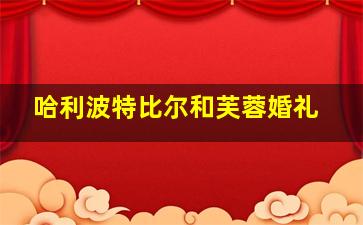 哈利波特比尔和芙蓉婚礼