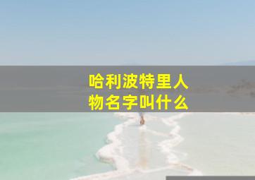 哈利波特里人物名字叫什么