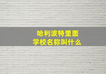 哈利波特里面学校名称叫什么