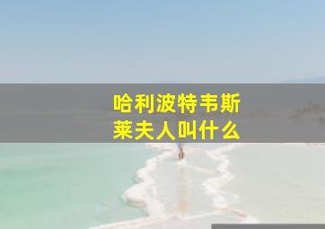 哈利波特韦斯莱夫人叫什么