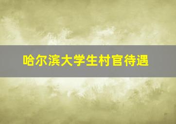 哈尔滨大学生村官待遇