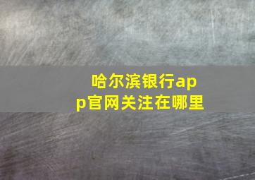 哈尔滨银行app官网关注在哪里