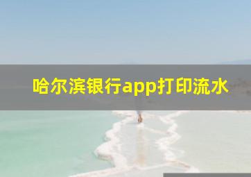 哈尔滨银行app打印流水