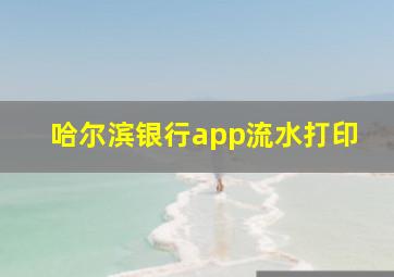 哈尔滨银行app流水打印