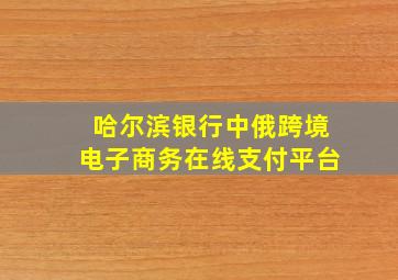 哈尔滨银行中俄跨境电子商务在线支付平台