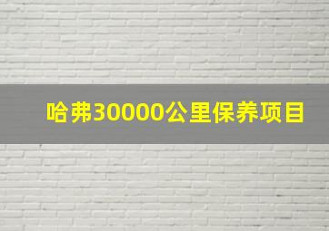 哈弗30000公里保养项目