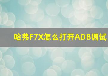 哈弗F7X怎么打开ADB调试