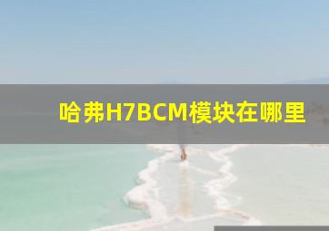 哈弗H7BCM模块在哪里