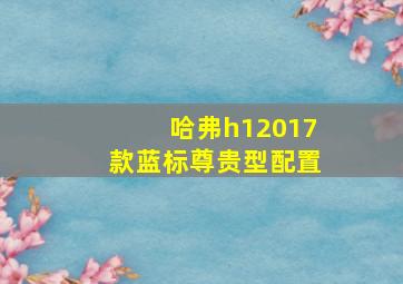 哈弗h12017款蓝标尊贵型配置