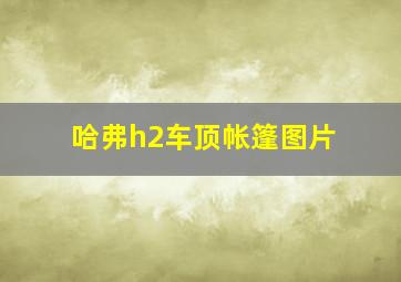 哈弗h2车顶帐篷图片