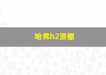 哈弗h2顶棚