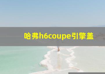 哈弗h6coupe引擎盖