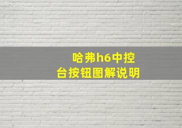 哈弗h6中控台按钮图解说明