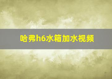 哈弗h6水箱加水视频