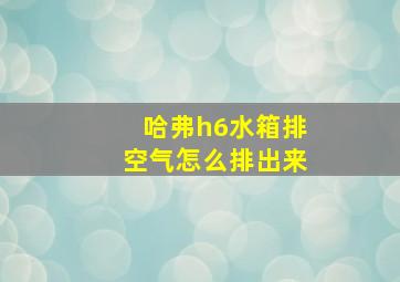 哈弗h6水箱排空气怎么排出来