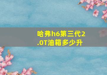 哈弗h6第三代2.0T油箱多少升