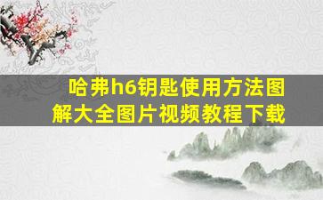 哈弗h6钥匙使用方法图解大全图片视频教程下载