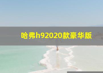 哈弗h92020款豪华版