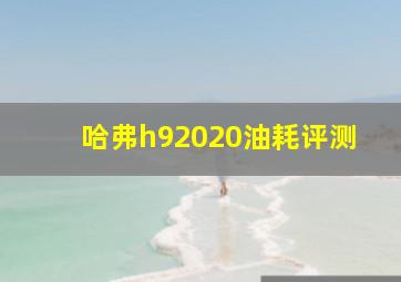 哈弗h92020油耗评测