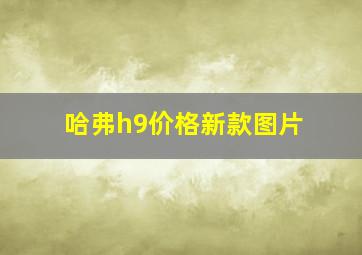 哈弗h9价格新款图片