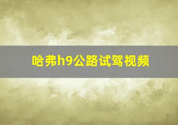 哈弗h9公路试驾视频