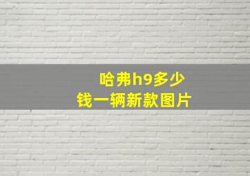 哈弗h9多少钱一辆新款图片