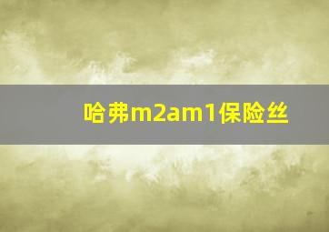 哈弗m2am1保险丝