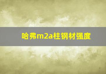 哈弗m2a柱钢材强度