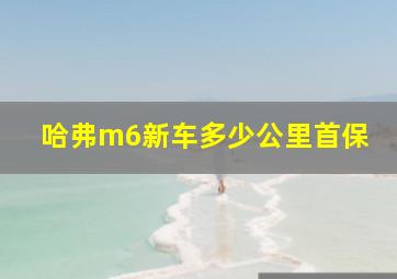 哈弗m6新车多少公里首保