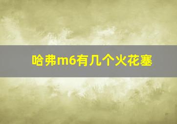 哈弗m6有几个火花塞