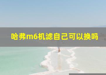 哈弗m6机滤自己可以换吗