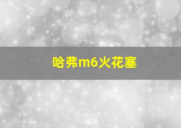 哈弗m6火花塞