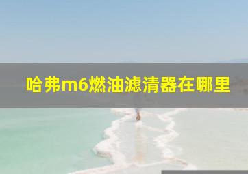 哈弗m6燃油滤清器在哪里