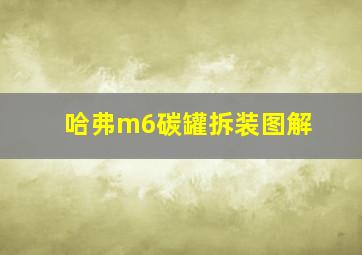 哈弗m6碳罐拆装图解