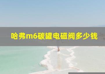 哈弗m6碳罐电磁阀多少钱