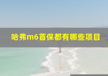 哈弗m6首保都有哪些项目