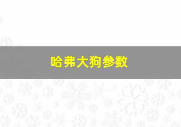 哈弗大狗参数