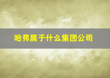 哈弗属于什么集团公司