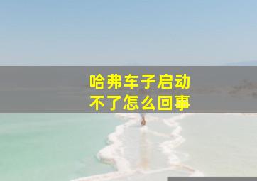 哈弗车子启动不了怎么回事