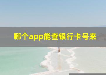 哪个app能查银行卡号来