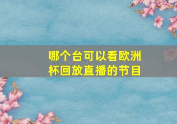 哪个台可以看欧洲杯回放直播的节目