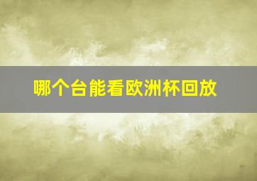 哪个台能看欧洲杯回放