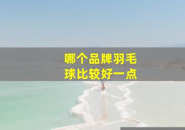 哪个品牌羽毛球比较好一点