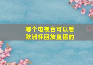 哪个电视台可以看欧洲杯回放直播的