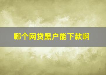 哪个网贷黑户能下款啊