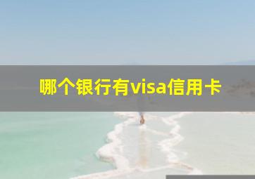 哪个银行有visa信用卡