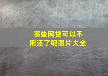 哪些网贷可以不用还了呢图片大全